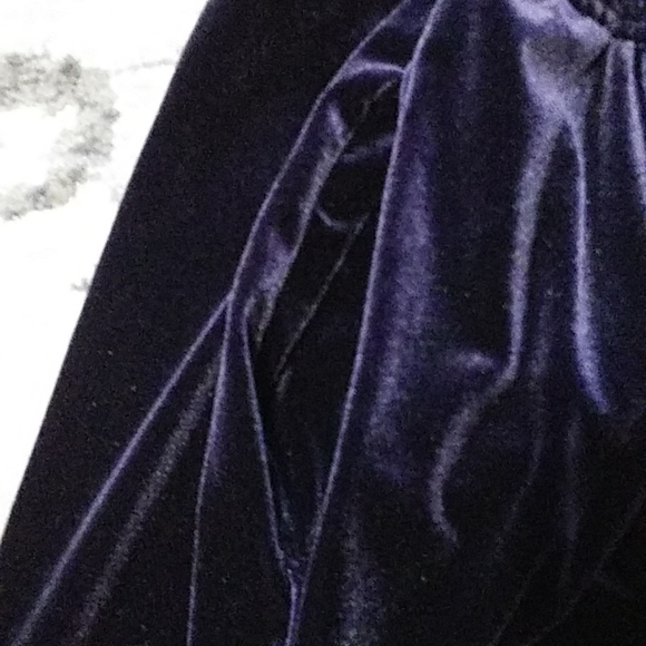 Stretch velvet pants from Coldwater Creek, VGUC - Picture 3 of 6